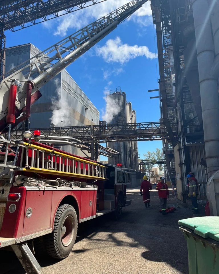 397098532_728920945934803_3540505980077316698_n