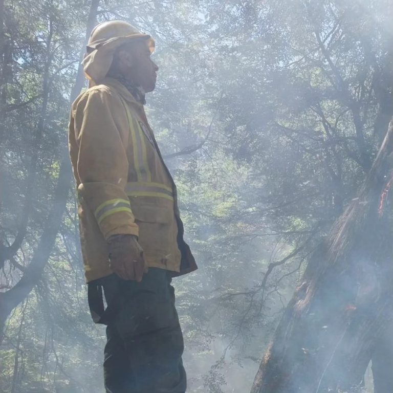 428626882_793792176114346_7505634406516463832_n