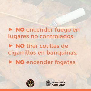 453845892_894527519374144_5858682157393624095_n