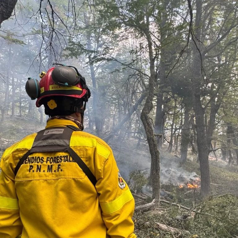 626926294_18134530405501787_1470440069924990432_n